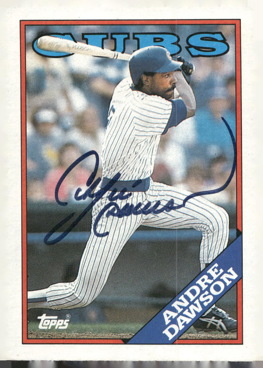 1988 Topps #500 Andre Dawson on card Autograph