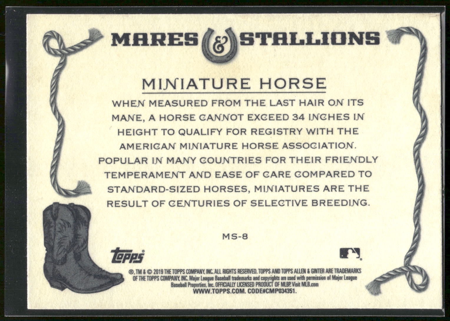2019 Topps Allen & Ginter #MS-8 Miniature Horse Mares & Stallions