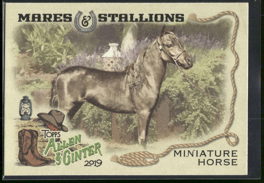 2019 Topps Allen & Ginter #MS-8 Miniature Horse Mares & Stallions