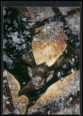 1996 SkyBox Batman Master Series #22 Inspiration