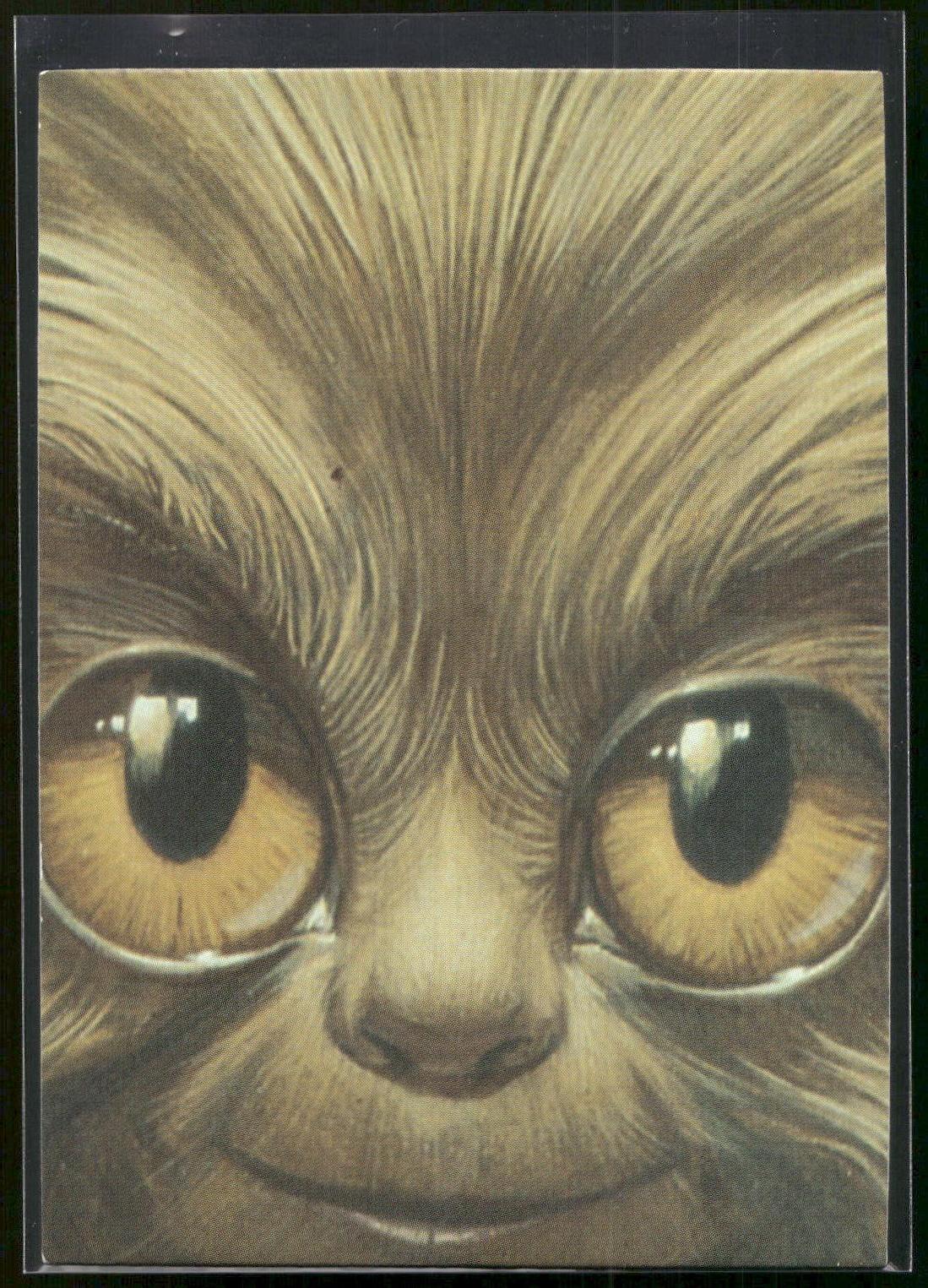 1993 Comic Images Michael Whelan Adventures in Fantasy #59 Fuzzy Face