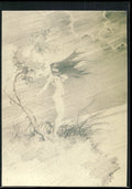 1993 Comic Images Frazetta II The Legend Continues #61 Windblown