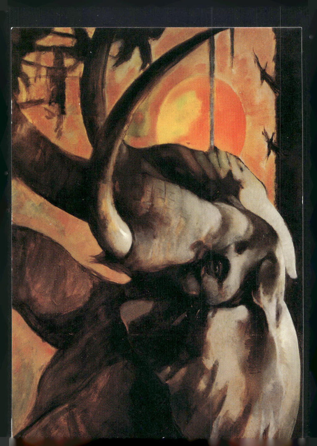 1993 Comic Images Frazetta II The Legend Continues #68 African Elephant, The