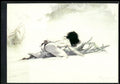 1993 Comic Images Frazetta II The Legend Continues #67 Girl on the River