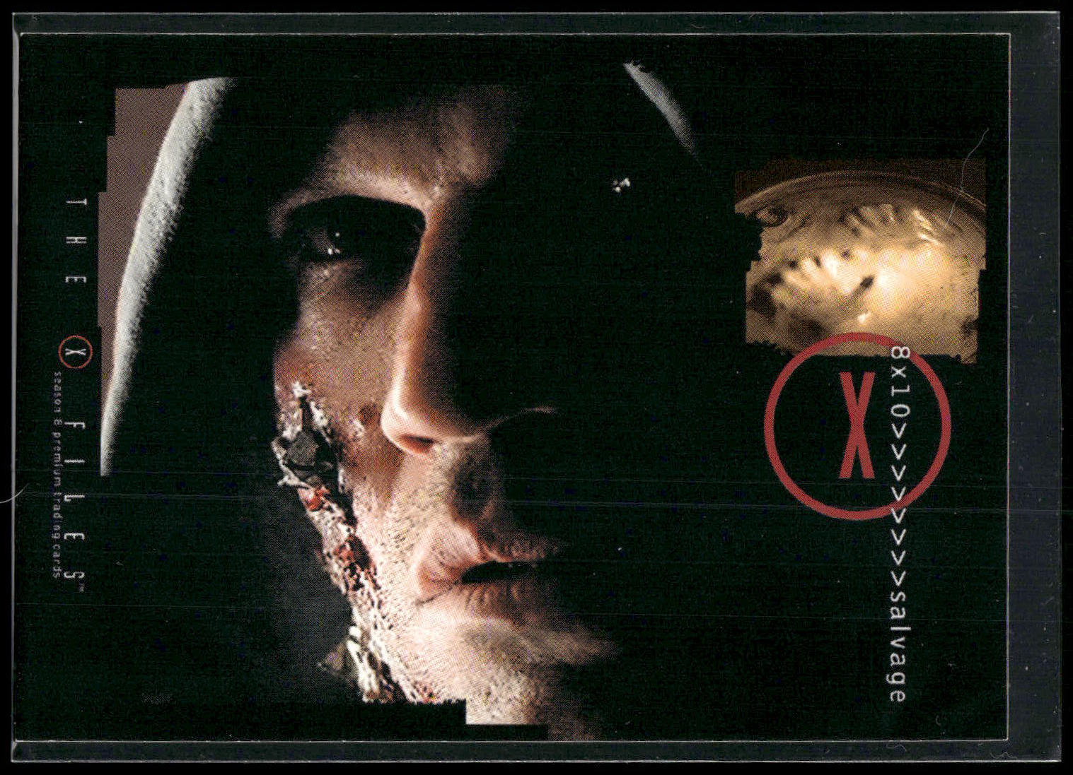 2002 Inkworks X-Files Season 8 #29 8x10 Salvage