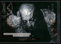2002 Inkworks X-Files Season 8 #78 Metal Man