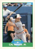 1989 Score #15 Cal Ripken, Jr.