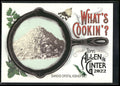 2022 Topps Allen & Ginter #WC-7 Diamond Crystal Kosher Salt What's Cookin'?