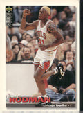 1995-96 Collector's Choice #271 Dennis Rodman