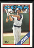 1988 Topps #186 Rafael Palmeiro