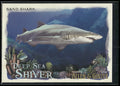 2021 Topps Allen & Ginter #DSS-10 Sand Shark Deep Sea Shiver
