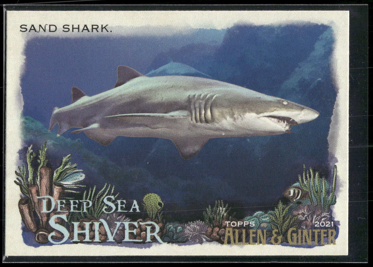 2021 Topps Allen & Ginter #DSS-10 Sand Shark Deep Sea Shiver
