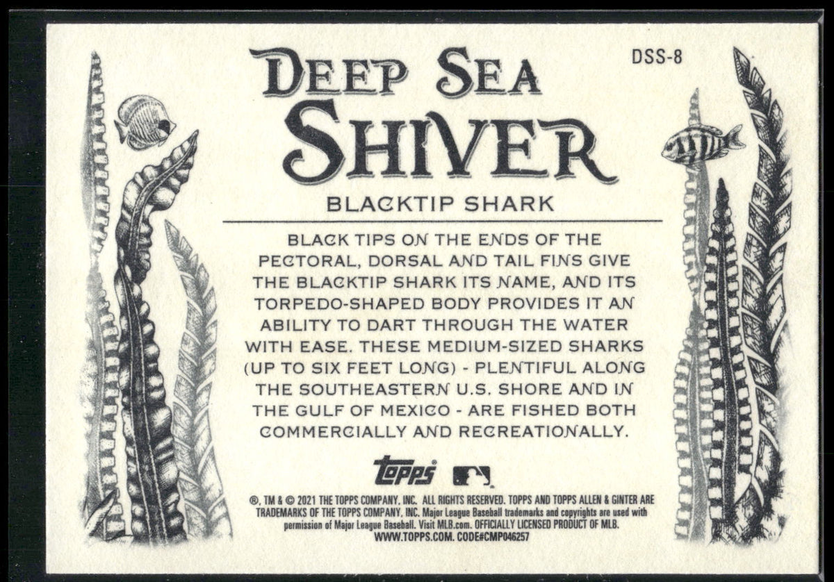 2021 Topps Allen & Ginter #DSS-8 Blacktip Shark Deep Sea Shiver