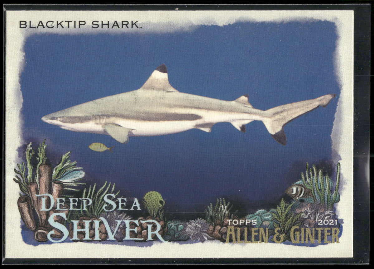 2021 Topps Allen & Ginter #DSS-8 Blacktip Shark Deep Sea Shiver