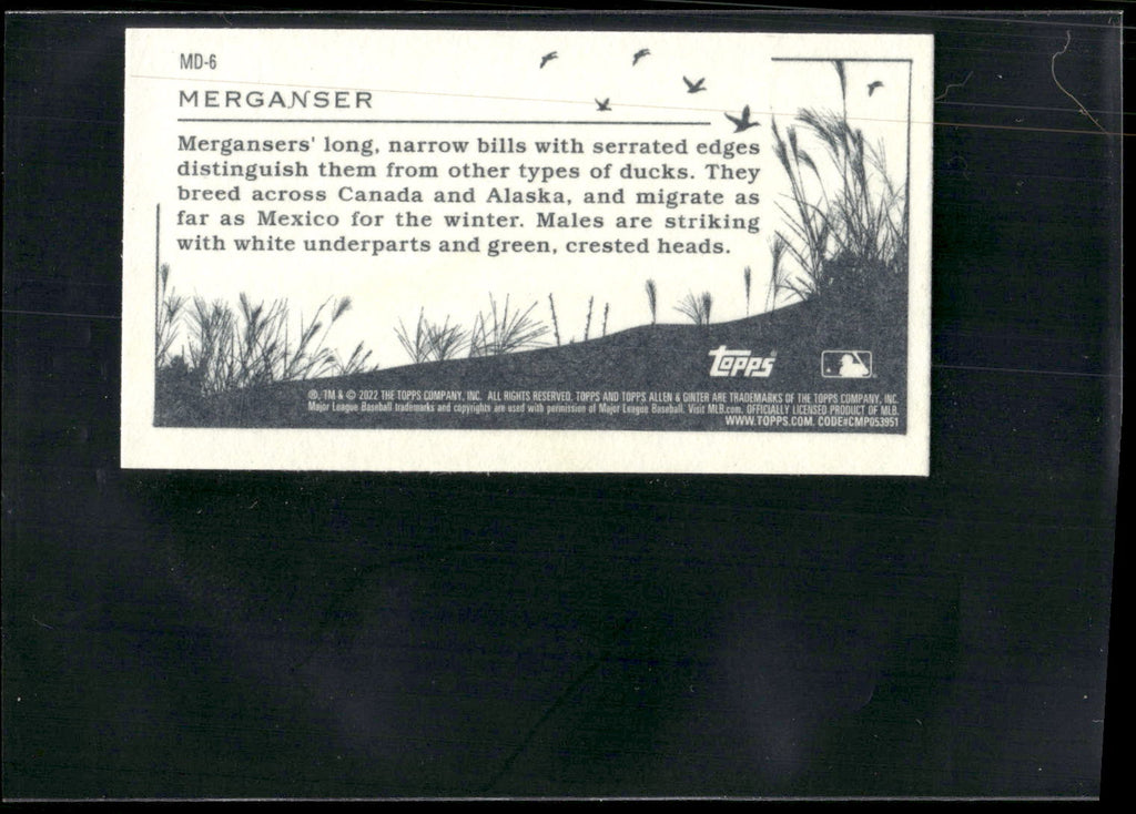 2022 Topps Allen & Ginter #MD-6 Merganser Mini Ducks