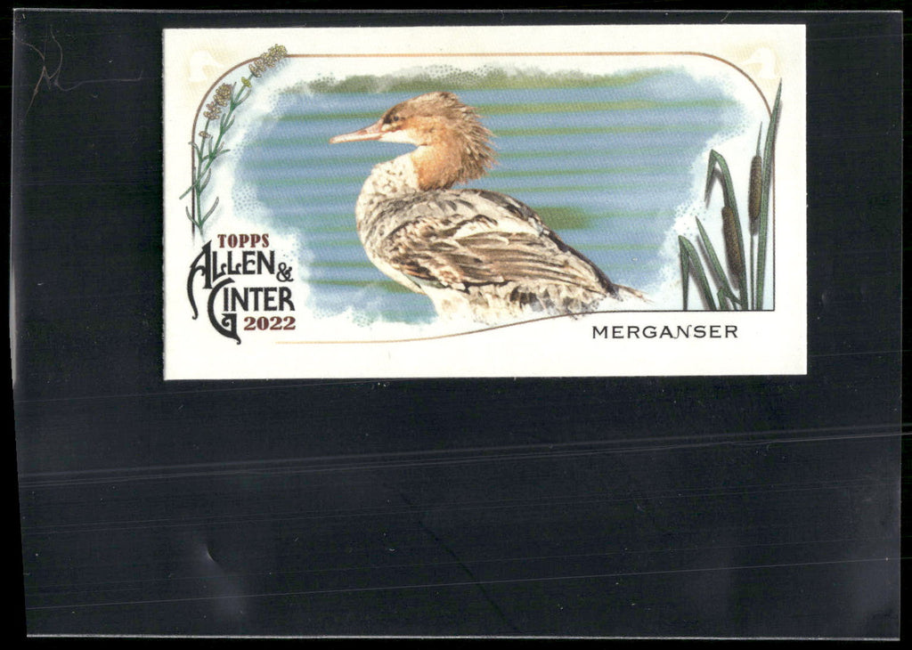 2022 Topps Allen & Ginter #MD-6 Merganser Mini Ducks
