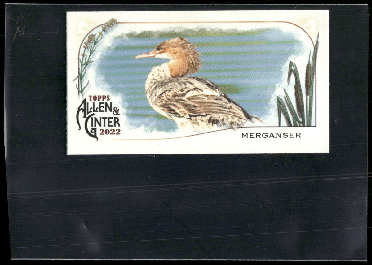 2022 Topps Allen & Ginter #MD-6 Merganser Mini Ducks