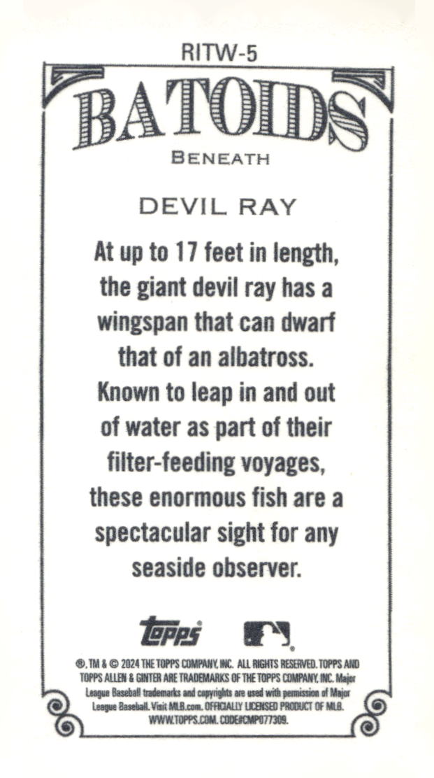 2024 Topps Allen & Ginter #RITW-5 Devil Ray Mini Batoids Beneath