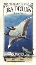 2024 Topps Allen & Ginter #RITW-5 Devil Ray Mini Batoids Beneath