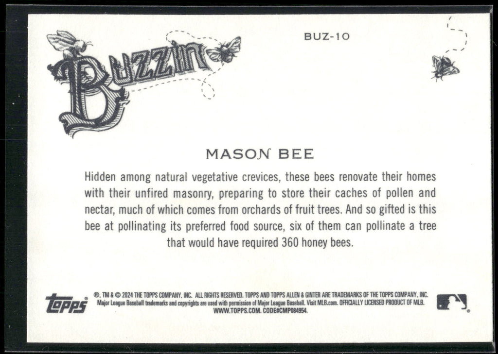 2024 Topps Allen & Ginter #BUZ-10 Mason Bee Buzzin'