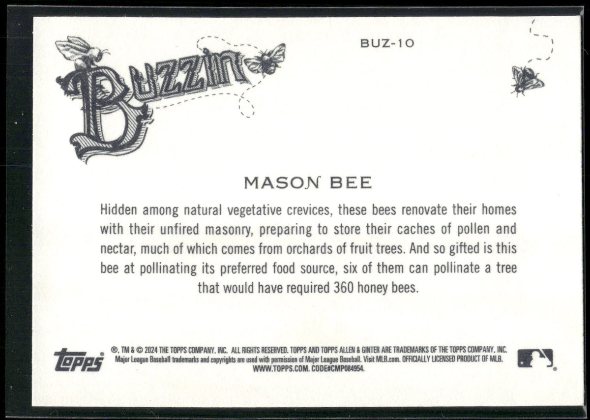 2024 Topps Allen & Ginter #BUZ-10 Mason Bee Buzzin'