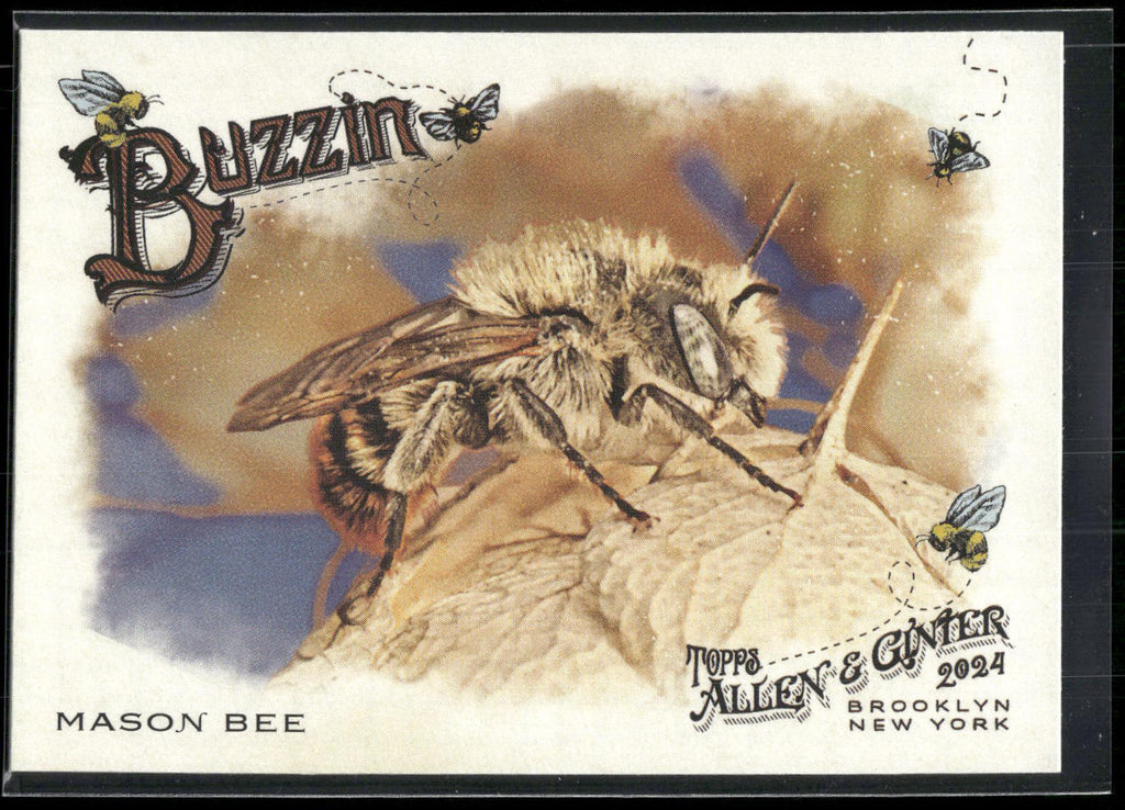 2024 Topps Allen & Ginter #BUZ-10 Mason Bee Buzzin'