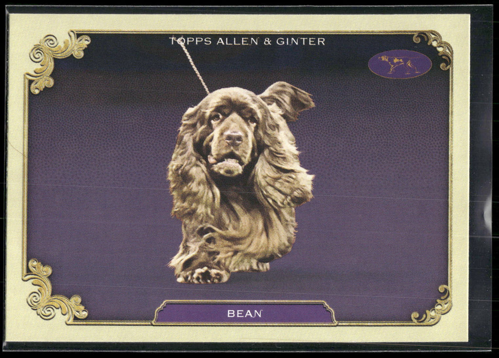 2024 Topps Allen & Ginter #SOS-9 Bean Stars of the Show Westminster Kennel Club