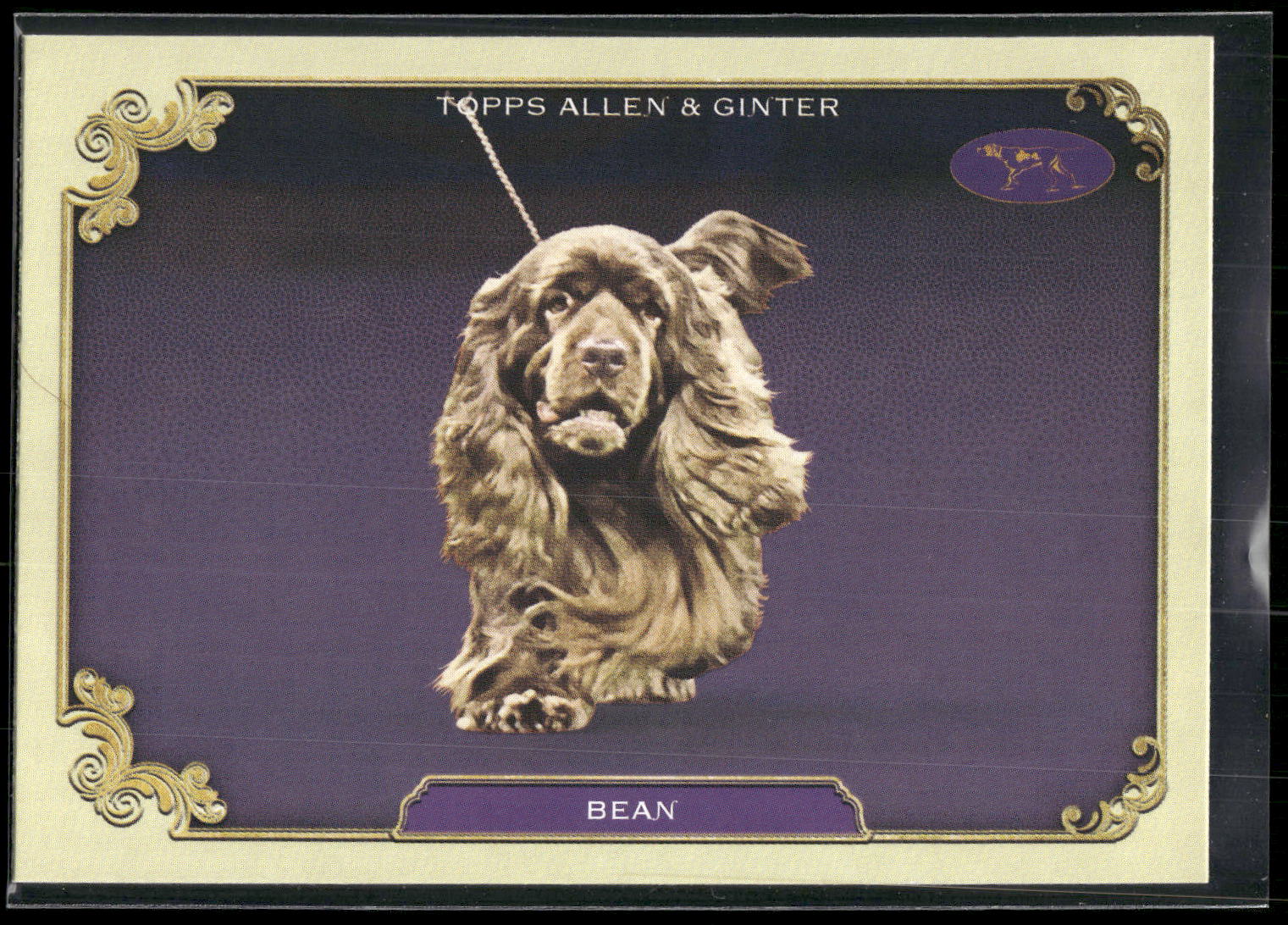 2024 Topps Allen & Ginter #SOS-9 Bean Stars of the Show Westminster Kennel Club
