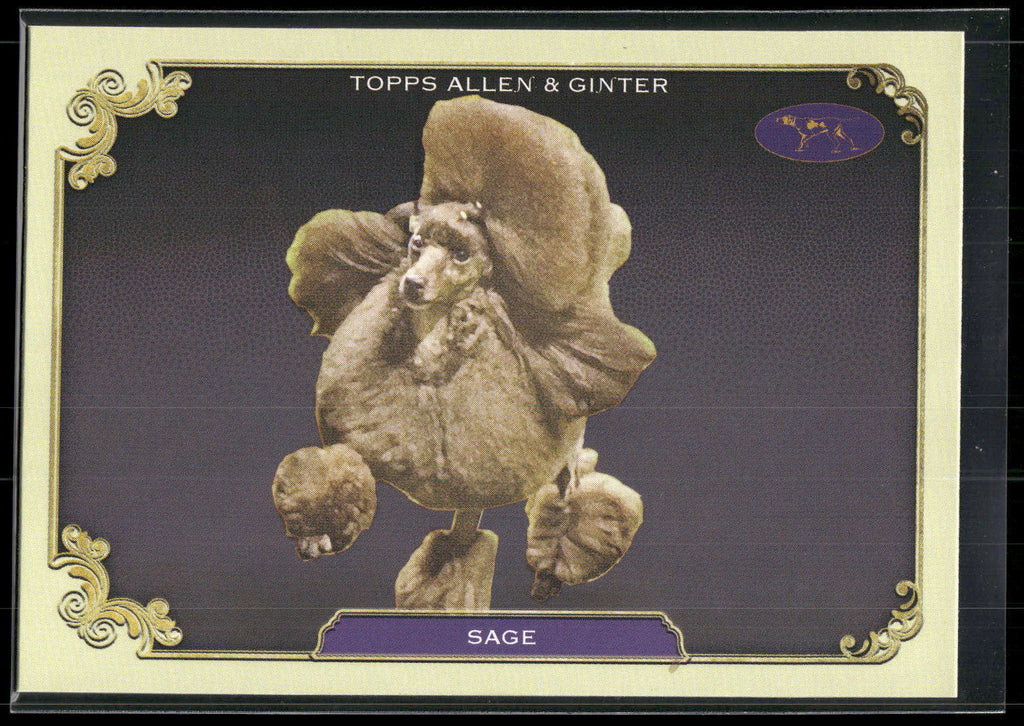 2024 Topps Allen & Ginter #SOS-27 Sage Stars of the Show Westminster Kennel Club