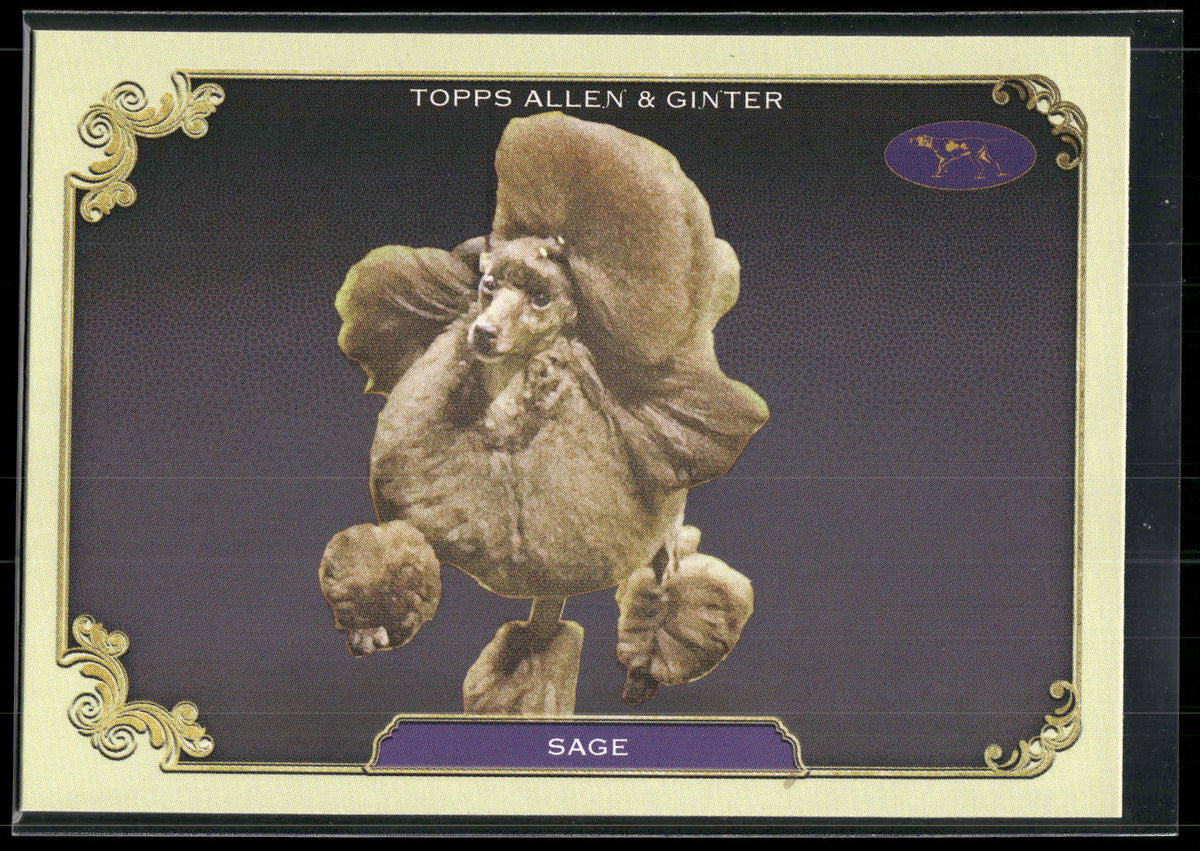 2024 Topps Allen & Ginter #SOS-27 Sage Stars of the Show Westminster Kennel Club