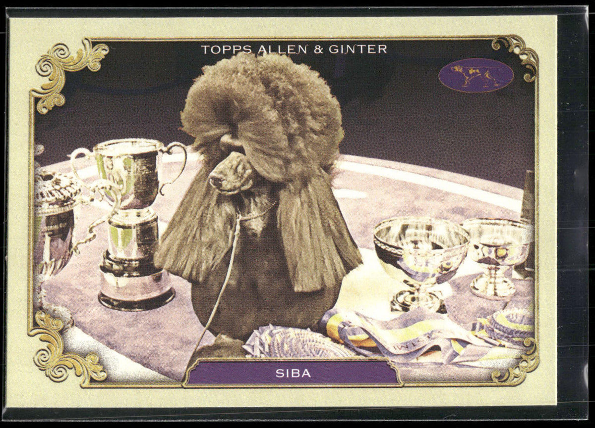 2024 Topps Allen & Ginter #SOS-13 Siba Stars of the Show Westminster Kennel Club