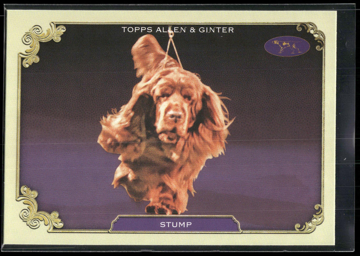 2024 Topps Allen & Ginter #SOS-22 Stump Stars of Show Westminster Kennel Club