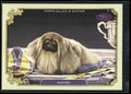 2024 Topps Allen & Ginter #SOS-12 Wasabi Stars of Show Westminster Kennel Club