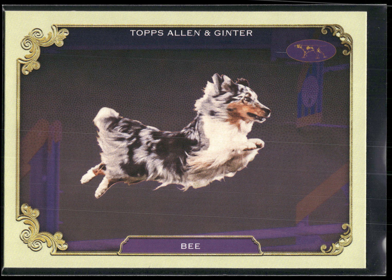 2024 Topps Allen & Ginter #SOS-3 Bee Stars of the Show Westminster Kennel Club