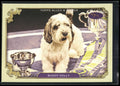 2024 Topps Allen & Ginter #SOS-10 Buddy Holly Stars Show Westminster Kennel Club