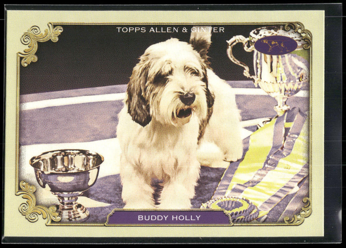 2024 Topps Allen & Ginter #SOS-10 Buddy Holly Stars Show Westminster Kennel Club