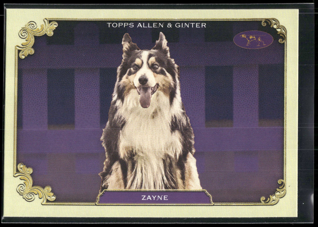 2024 Topps Allen & Ginter #SOS-33 Zayne Stars of Show Westminster Kennel Club