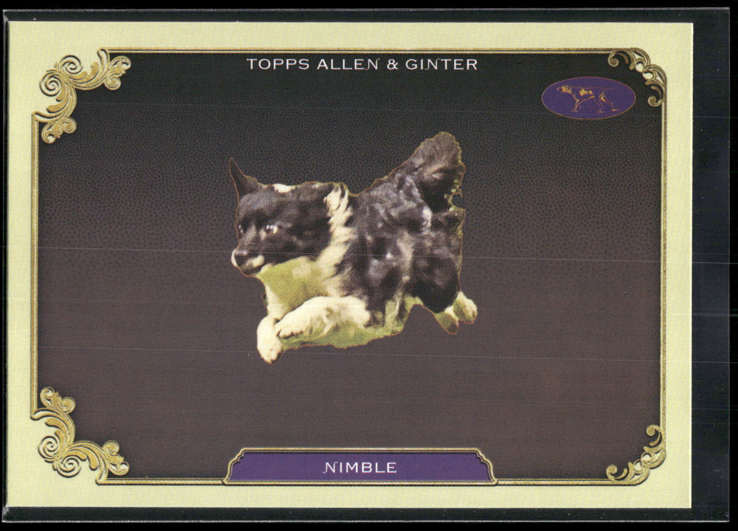 2024 Topps Allen & Ginter #SOS-34 Nimble Stars of Show Westminster Kennel Club