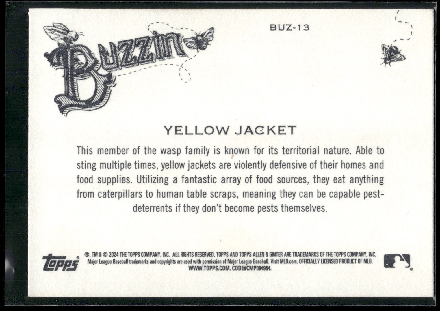 2024 Topps Allen & Ginter #BUZ-13 Yellow Jacket Buzzin'