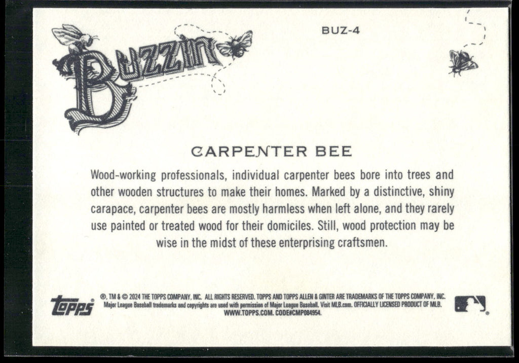 2024 Topps Allen & Ginter #BUZ-4 Carpenter Bee Buzzin'