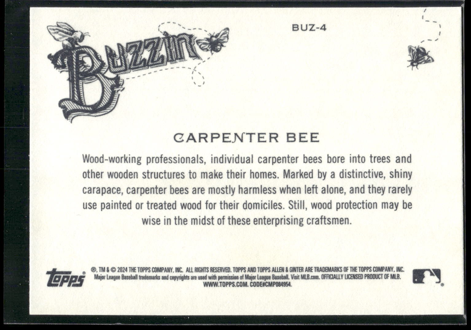 2024 Topps Allen & Ginter #BUZ-4 Carpenter Bee Buzzin'