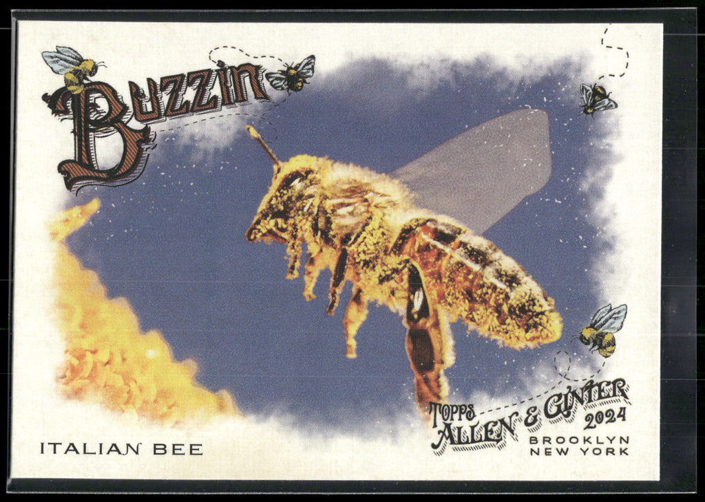2024 Topps Allen & Ginter #BUZ-5 Italian Bee Buzzin'