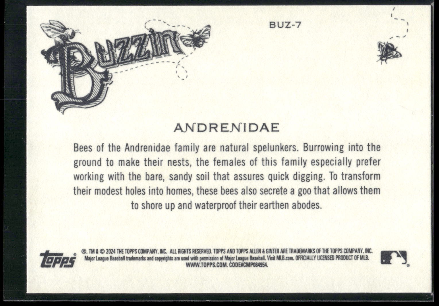 2024 Topps Allen & Ginter #BUZ-7 Andrenidae Buzzin'
