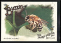 2024 Topps Allen & Ginter #BUZ-7 Andrenidae Buzzin'