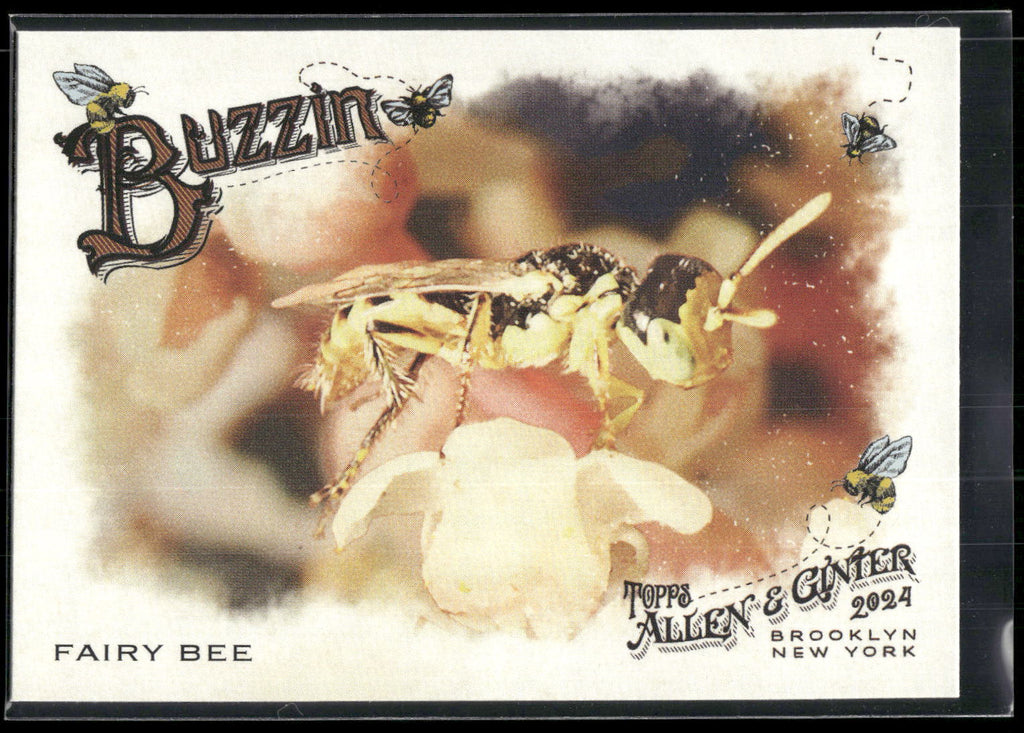 2024 Topps Allen & Ginter #BUZ-11 Fairy Bee Buzzin'