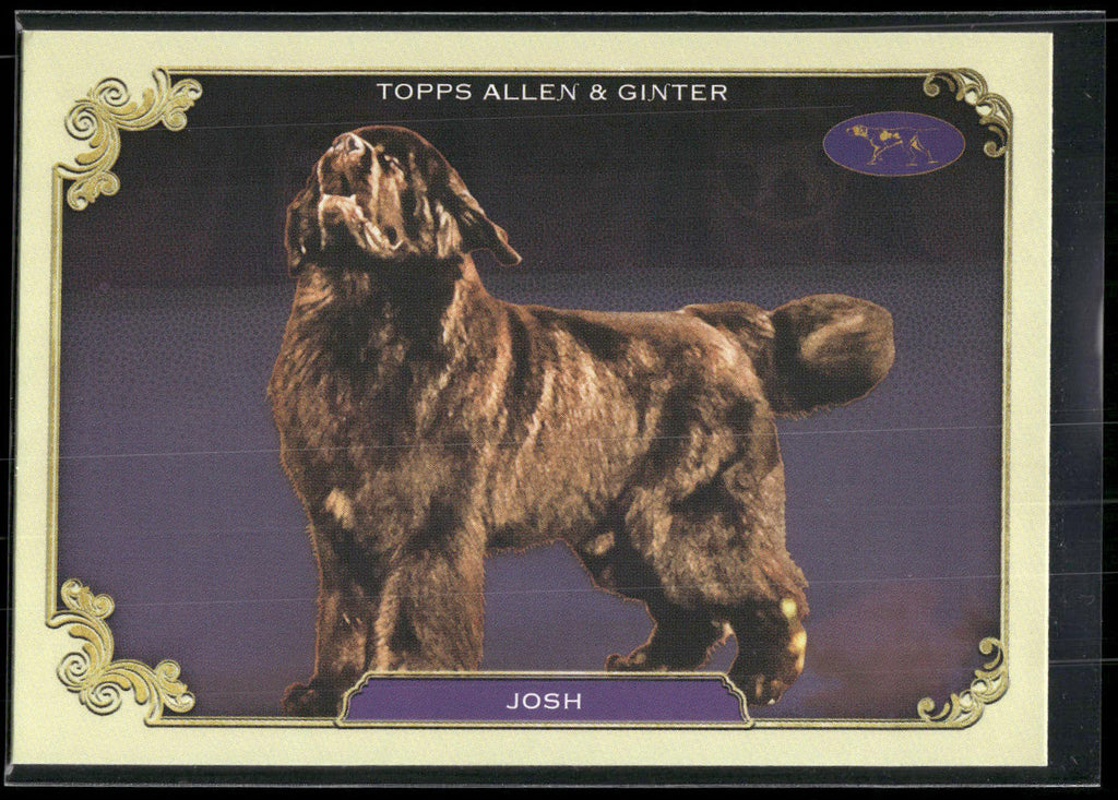 2024 Topps Allen & Ginter #SOS-24 Josh Stars of Show Westminster Kennel Club