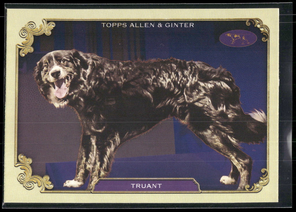 2024 Topps Allen & Ginter #SOS-4 Truant Stars of Show Westminster Kennel Club
