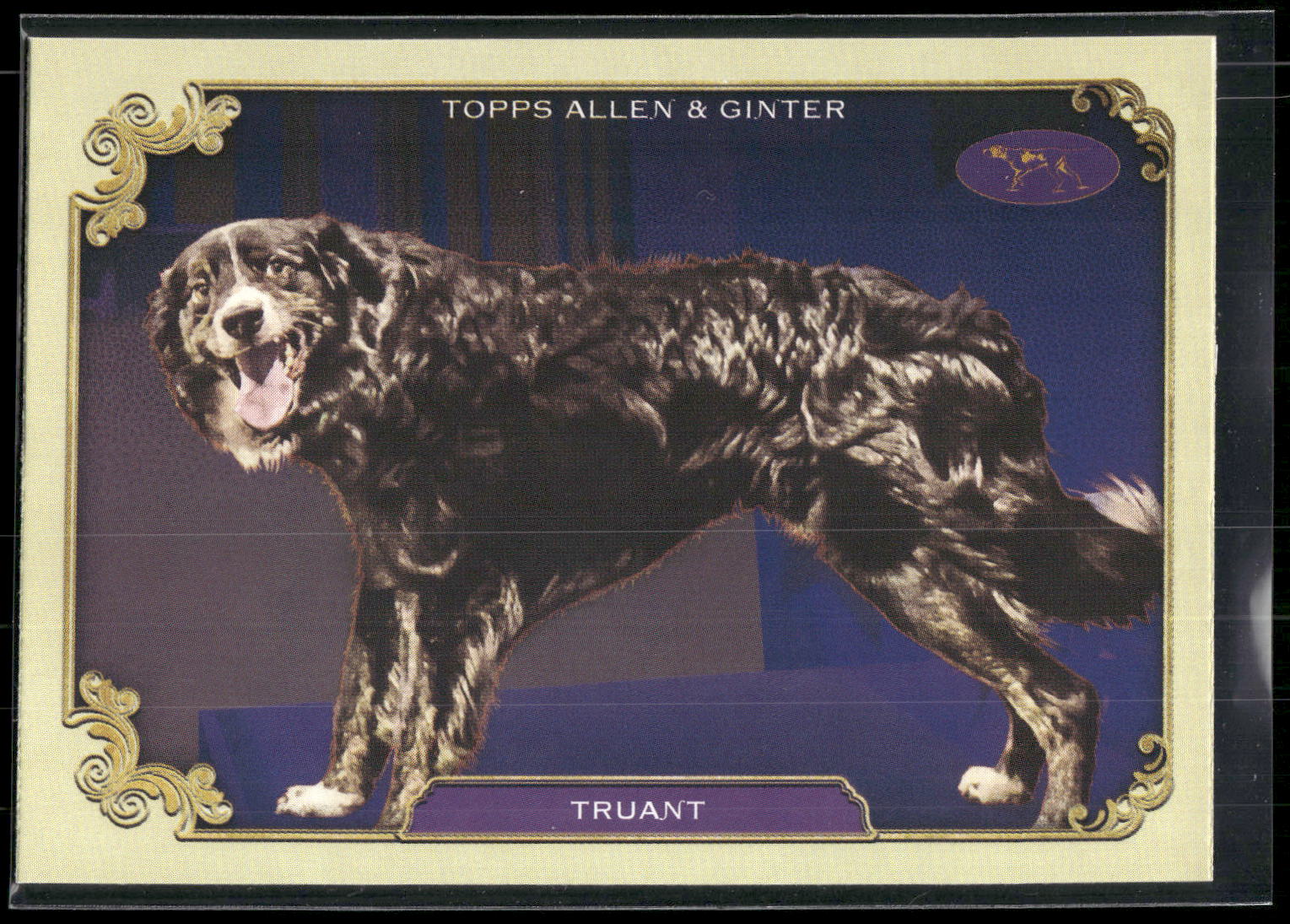 2024 Topps Allen & Ginter #SOS-4 Truant Stars of Show Westminster Kennel Club