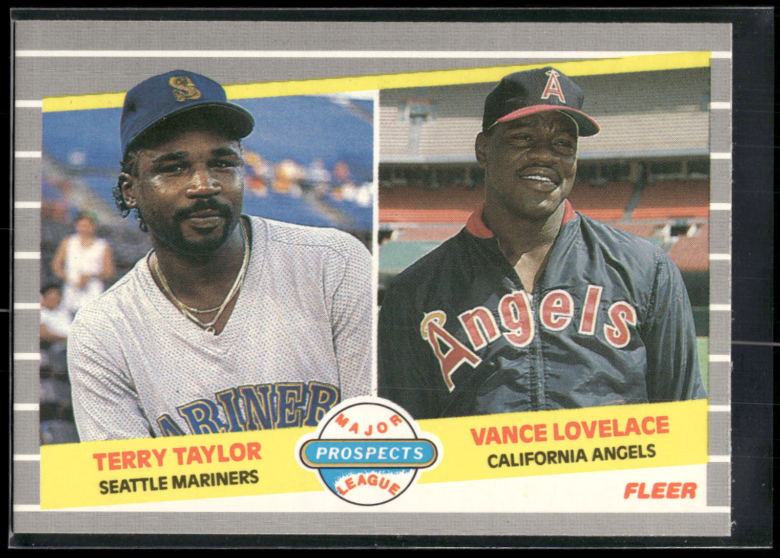 1989 Fleer #651 Terry Taylor / Vance Lovelace