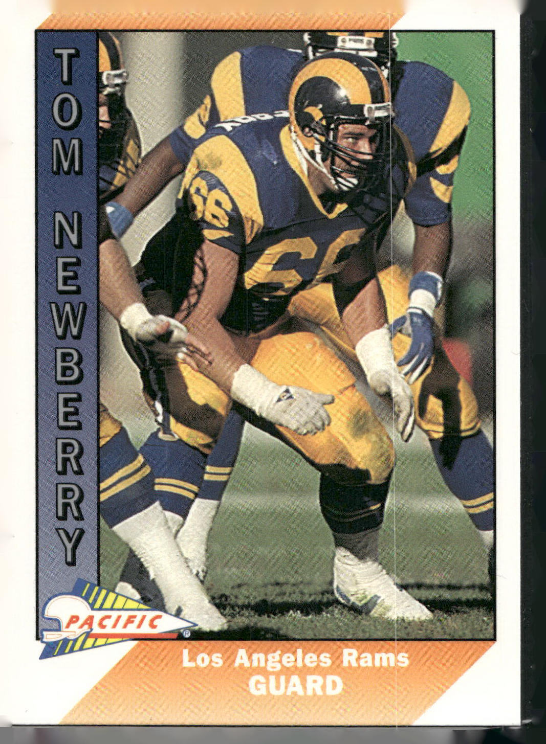 1991 Pacific #256 Tom Newberry